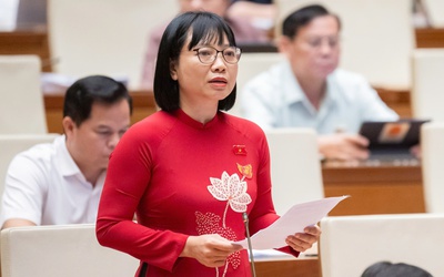 Đại biểu lo hậu kiểm không đủ mạnh, các "công ty ma" dễ lợi dụng