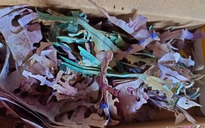 Cất tiền tiết kiệm trong hộp bánh cũ, cụ bà sốc nặng sau khi mở ra