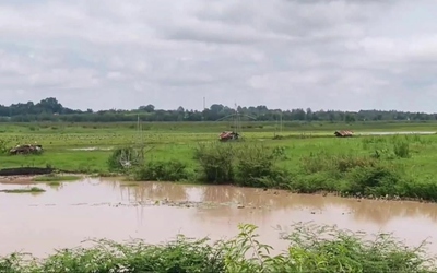 Đang đóng bè cá, 2 người đàn ông bị sét đánh tử vong