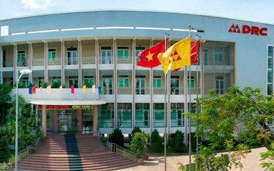 Cao su Đà Nẵng báo lãi quý thấp nhất thập kỷ qua, lãnh đạo nói gì?