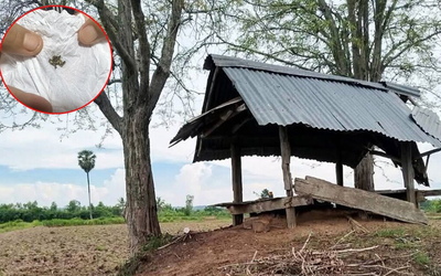 Ngồi trú mưa gần 2 cây me, cha chết lặng khi thấy con trai bị sét đánh tử vong