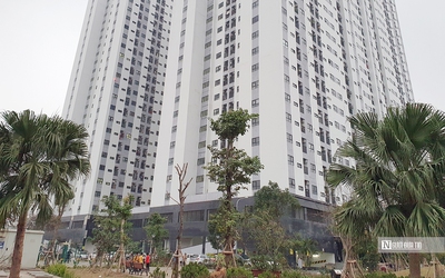 Thu hồi hàng nghìn căn chung cư là tài sản công bị sử dụng sai mục đích