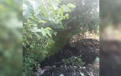 Đang ngủ dưới gốc cây, người đàn ông bị đổ bùn thải lên người, tử vong