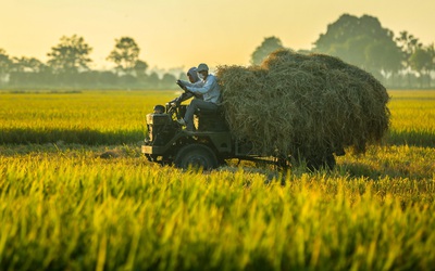 Tư duy mới cho nông nghiệp chuyển mình