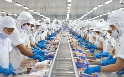 Vĩnh Hoàn tháng 4/2025: Xuất khẩu sa sút, doanh thu đi lùi