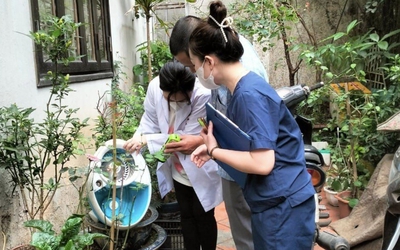 Chủ động diệt loăng quăng, ngăn chặn sốt xuất huyết bùng phát