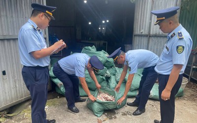 Bản tin 29/5: Phát hiện gần 8 tấn chân gà không rõ nguồn gốc