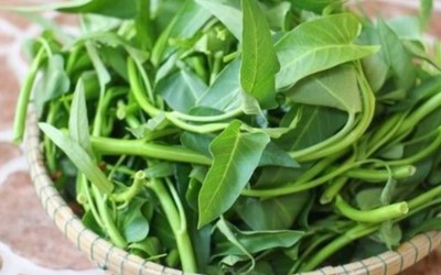 "5 không" khi ăn rau muống, biết mà tránh kẻo rước hoạ