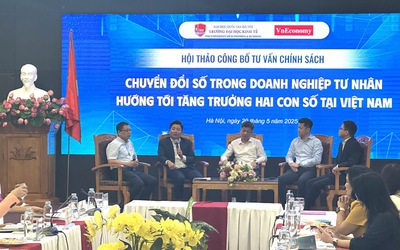 5 cái thiếu níu chân doanh nghiệp tư nhân trên hành trình số hóa