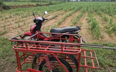 Đi xe máy trên cánh đồng mía, người đàn ông 61 tuổi bị sét đánh tử vong
