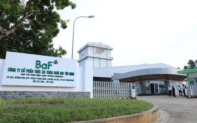 Không còn doanh thu nông sản, BAF vẫn lãi lớn nhờ nuôi heo