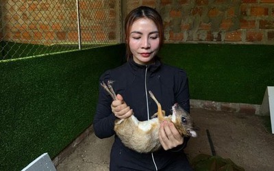Mạnh dạn nuôi con vật có trong sách Đỏ, bán 10 triệu đồng/cặp, người phụ nữ thu lãi "khủng"