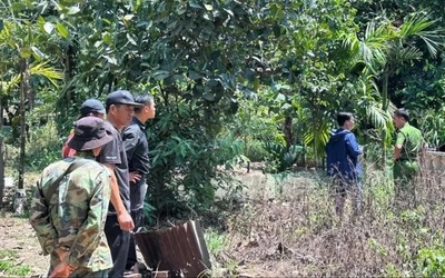 2 người đàn ông tử vong khi bơm nước cho vịt, nghi do điện giật
