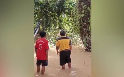 Đang nấu ăn, người phụ nữ bất ngờ bị cá sấu cắn tử vong