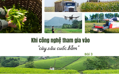 Khi công nghệ tham gia vào "cày sâu cuốc bẫm" - Bài 3: Nông nghiệp hiện đại cần một hệ sinh thái bền vững