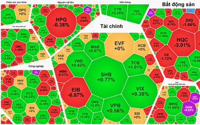 Cổ phiếu Vingroup đảo chiều tăng, VN-Index lấy lại mốc 1.315 điểm
