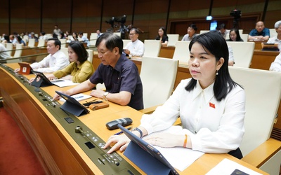 Quốc hội giữ quy định công bố hợp quy sản phẩm, hàng hóa