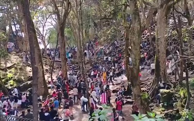 Du khách bàng hoàng chứng kiến khỉ rải "mưa" tiền từ trên cây