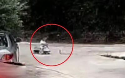 Bé trai chạm trán rắn hổ mang ngay trong sân nhà và cái kết