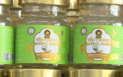 Phú Thọ: Chuyển công an điều tra vụ hơn 23.000 lọ yến chưng giả