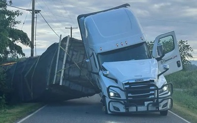 Hàng trăm triệu con ong thoát ra ngoài sau khi xe tải bị lật