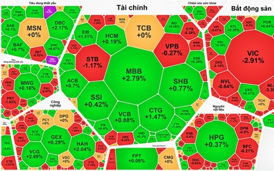Cổ phiếu "vua" gánh VN-Index thoát một phiên giảm sâu