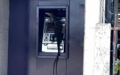 Đi rút tiền, người dân bắt gặp cảnh tượng đáng sợ ở cây ATM