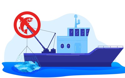 CSBVN với quy định IUU