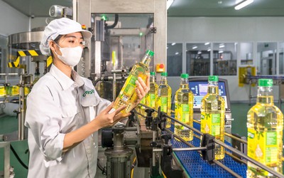 "Mặt trận" nghìn tỷ và cuộc đua mở rộng ngành dầu ăn Việt