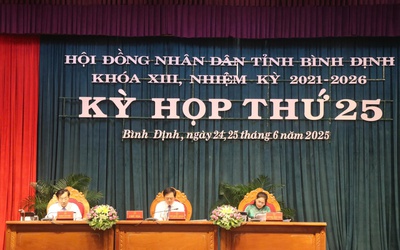 Bình Định: Kết quả ấn tượng 6 tháng đầu năm tạo nền tảng phát triển sau hợp nhất