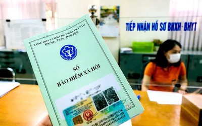 Mức hỗ trợ cho người tham gia bảo hiểm xã hội tự nguyện từ 1/7/2025, nhiều người cần biết