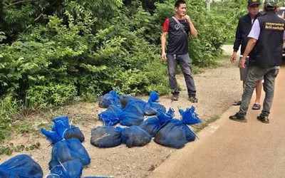 Bí mật "động trời" bên trong hàng chục chiếc túi lạ treo trong rừng