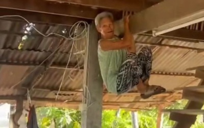 Rắn bò vào sân, cụ bà sợ hãi đu mình lên xà nhà