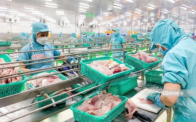 Ngành thủy sản rơi vào “vùng trũng” trong tháng 5/2025