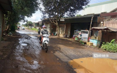 Dự án đường nghìn tỷ ở Đắk Lắk “mắc kẹt” vì 113m mặt bằng