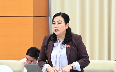 Chủ tịch, Phó Chủ tịch HĐND cấp tỉnh, cấp xã không nhất thiết là đại biểu HĐND