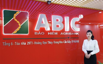 ABIC muốn tăng vốn lên hơn 1.000 tỷ đồng, trả cổ tức tỉ lệ 20%
