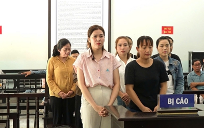 Mua bán hoá đơn trái phép và trốn thuế, 9 bị cáo ở Huế lĩnh án
