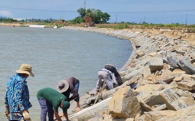 Dự án 125 tỷ đồng chống sạt lở ở Đà Nẵng “kẹt” vật liệu, vướng mặt bằng