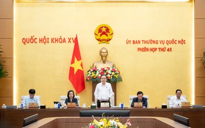 Ghi nhận BHXH bắt buộc cho chủ hộ kinh doanh trước 1/7/2025
