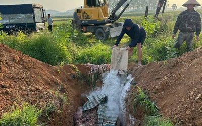 Nghệ An “lập barie” ngăn chặn nội tạng động vật bốc mùi tuồn vào thị trường