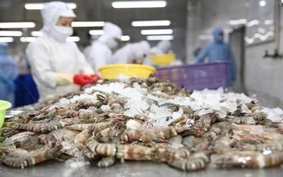 Mỹ áp thuế chống bán phá giá với tôm Việt lên tới 35,29%