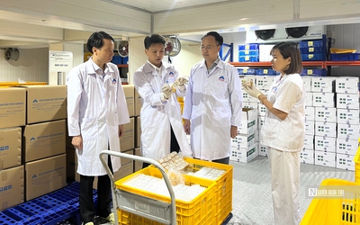 Vắc-xin ASF “made in Vietnam” chính thức xuất khẩu sang Indonesia