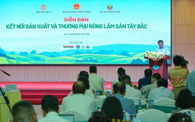 Doanh nghiệp kể chuyện "làm lớn từ điều giản dị" với nông sản Tây Bắc