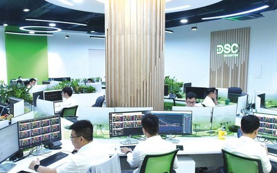 Chứng khoán DSC hé lộ kết quả kinh doanh quý II/2025