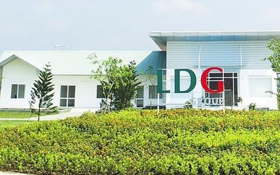 Bất chấp nằm trong diện kiểm soát, cổ phiếu LDG vẫn tăng trần 11 phiên