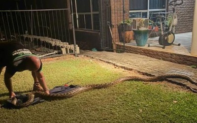Nghe tiếng động lạ, đi kiểm tra, người đàn ông chứng kiến cảnh tượng nổi da gà