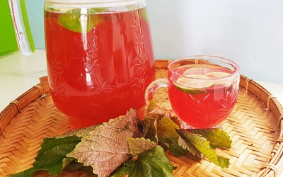Những người "đại kỵ" với nước lá tía tô, biết mà tránh kẻo rước hoạ