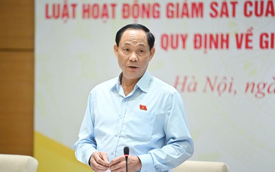 Phó Chủ tịch Quốc hội: Giám sát để mở đường phát triển