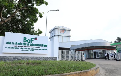 BAF sẽ thế nào khi ngưng hoàn toàn hoạt động kinh doanh nông sản?